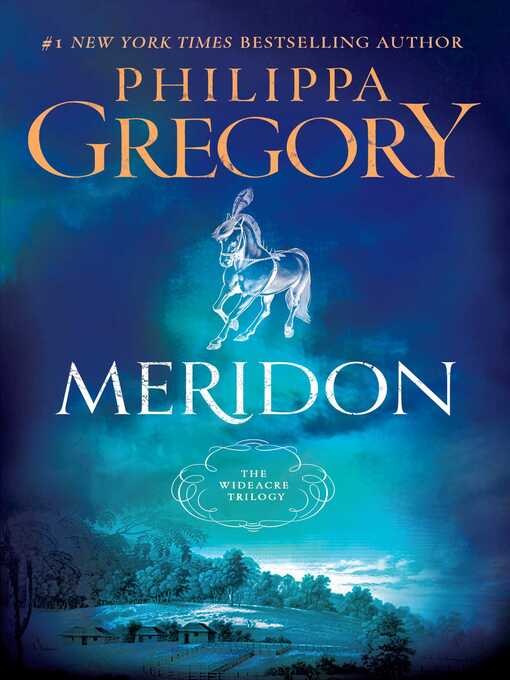 Cover image for Meridon